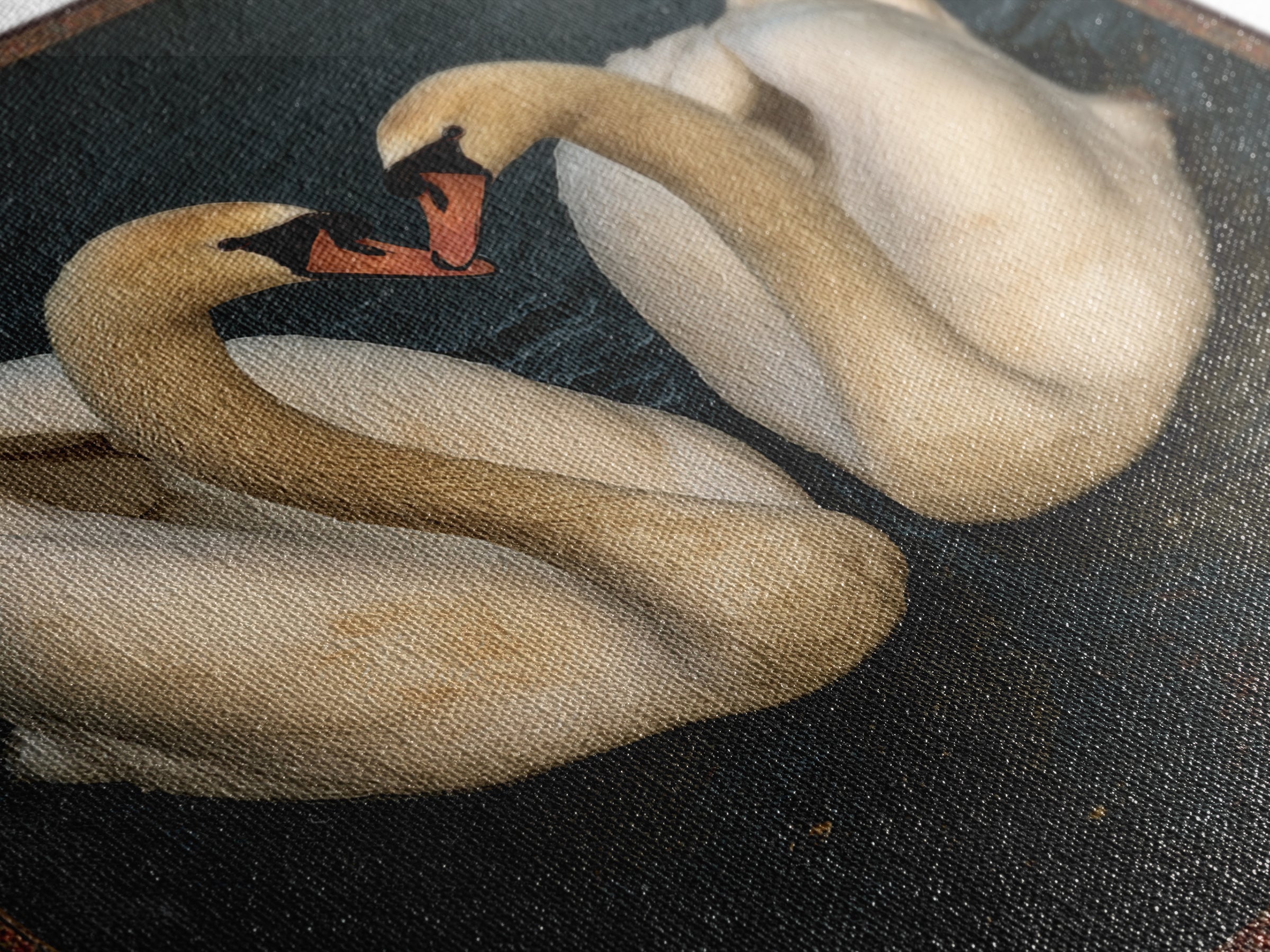 Two Swans Forming a Heart on Dark Canvas Print, Wedding Art, Gallery Decor, Living Room Decor, Fine Art, Romance, WED-1x1-98