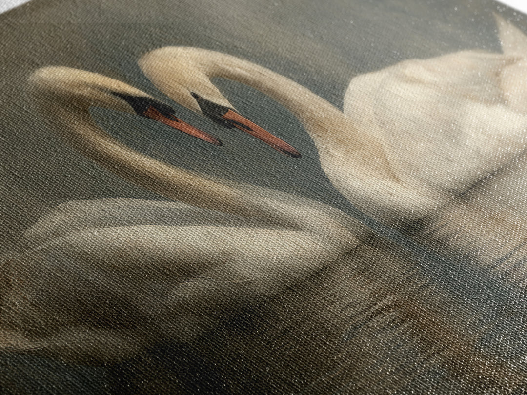 Two Swans Forming a Heart on Dark Canvas Print, Wedding Art, Gallery Decor, Living Room Decor, Fine Art, Romance, WED-2x1-22