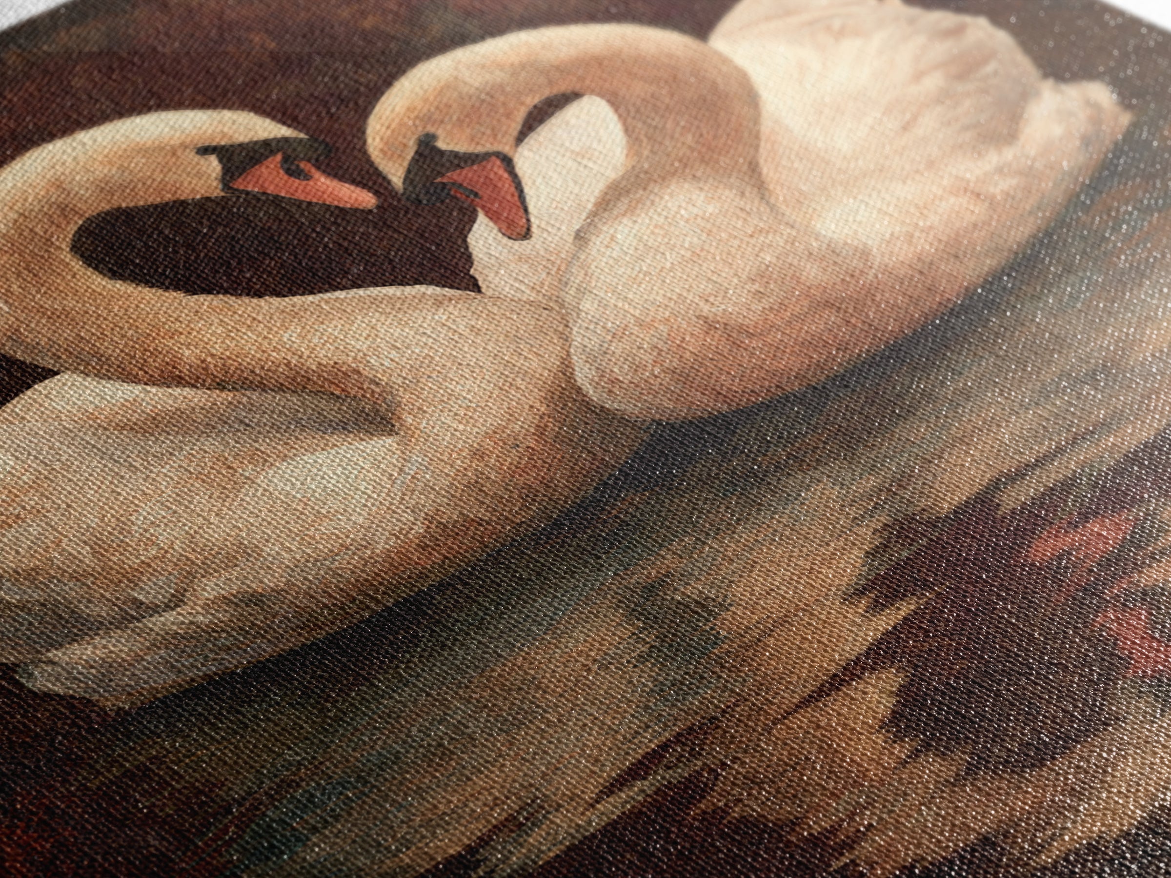 Two Swans Forming a Heart on Dark Canvas Print, Wedding Art, Contemporary Art, Living Room Decor, Fine Art, Romance, Custom Art, WED-2x3-58