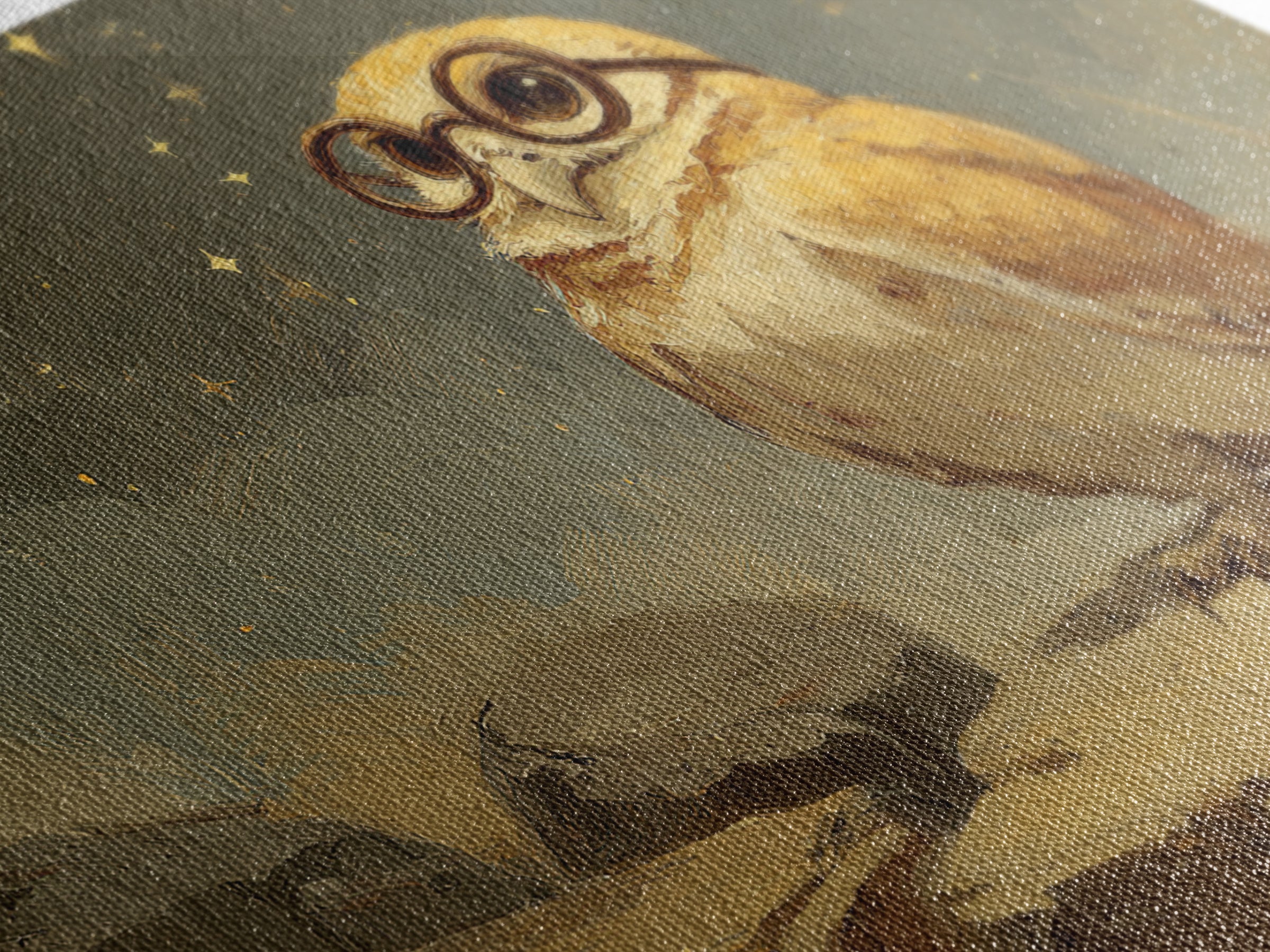 Owl Wearing Spectacles Among Stars Framed Canvas Print, Whimsical Art, Nursery Prints, Living Room Decor, Oil Painting, Wonder, WHI-3x2-82