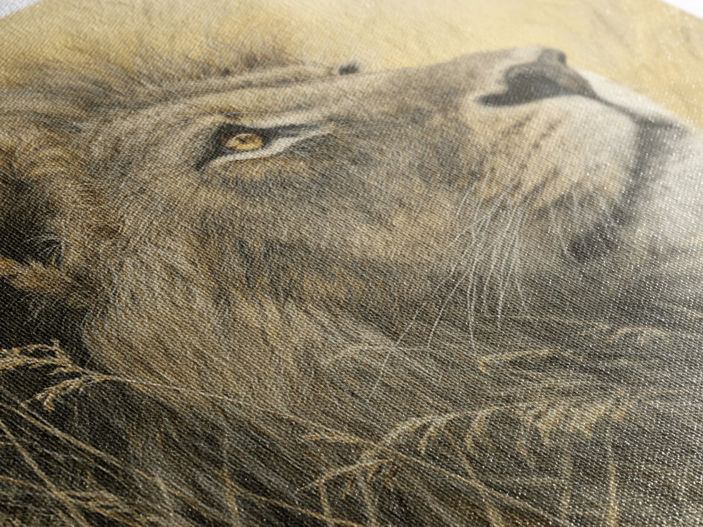 Lion Emerging from Golden Savanna Grass Framed Canvas Print, Wildlife Art, Rustic Home Decor, Living Room Decor, Fine Art, Wild, WIL-1x1-1