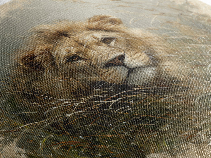 Lion Emerging from Golden Savanna Grass Canvas Print, Wildlife Art, Modern Decor, Living Room Decor, Fine Art, Wild, Home Decor, WIL-1x1-25