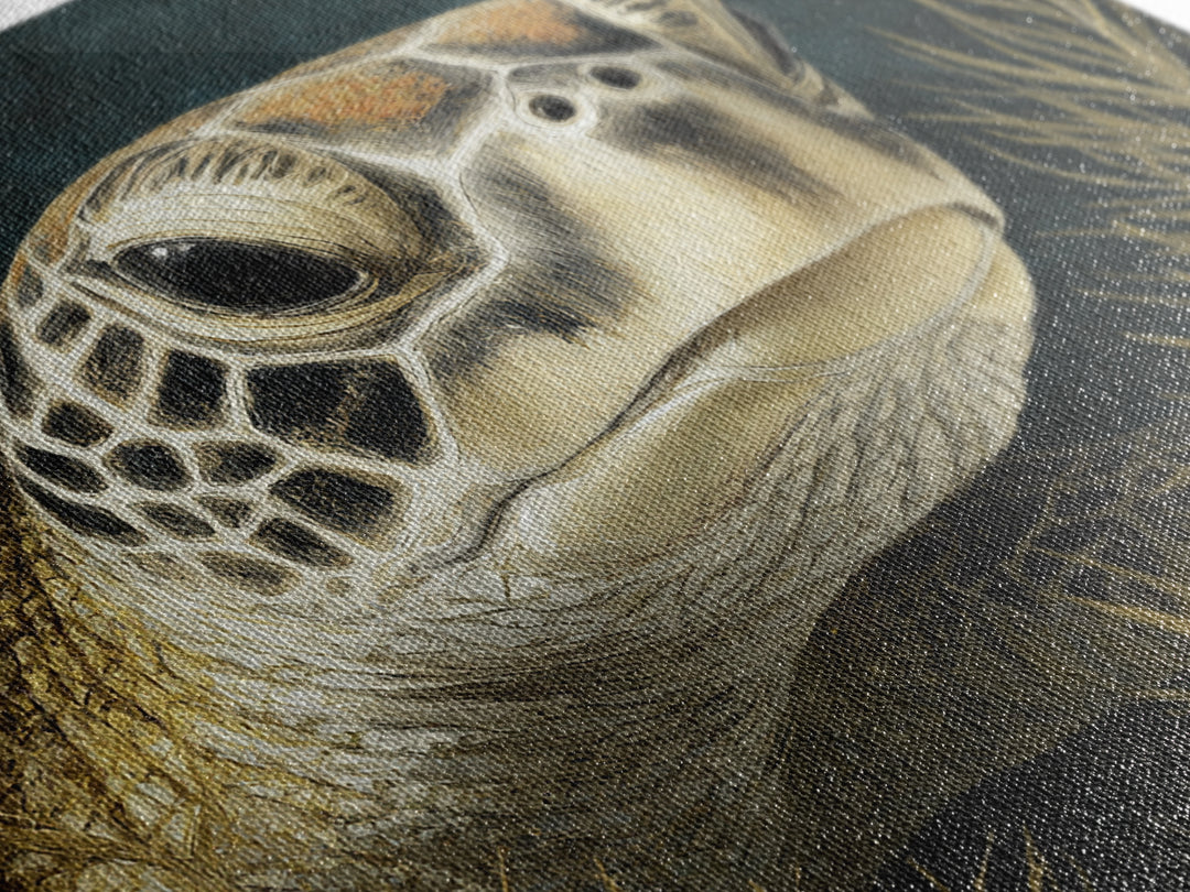 Sea Turtle over Coral Reef Framed Canvas Print, Wildlife Art, Digital Download Art, Living Room Decor, Abstract Art, Wild, WIL-1x1-42