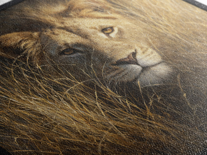 Lion Emerging from Golden Savanna Grass Canvas Print, Wildlife Art, Modern Decor, Living Room Decor, Fine Art, Wild, Home Decor, WIL-1x1-49