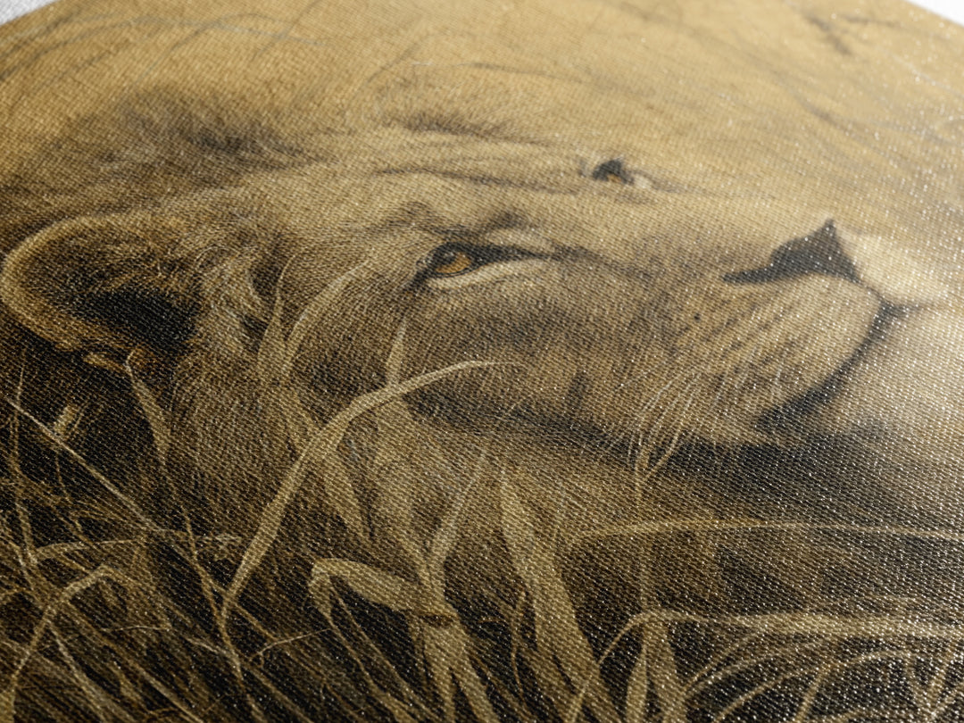 Lion Emerging from Golden Savanna Grass Framed Canvas Print, Wildlife Art, Art Print, Living Room Decor, Watercolor Art, Wild, WIL-1x1-73