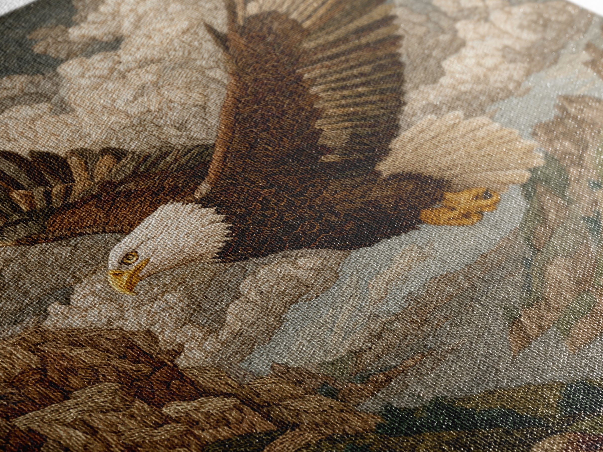 Eagle Soaring Above Rocky Cliffs Framed Canvas Print, Wildlife Art, Gallery Decor, Living Room Decor, Fine Art, Wild, WIL-1x1-78
