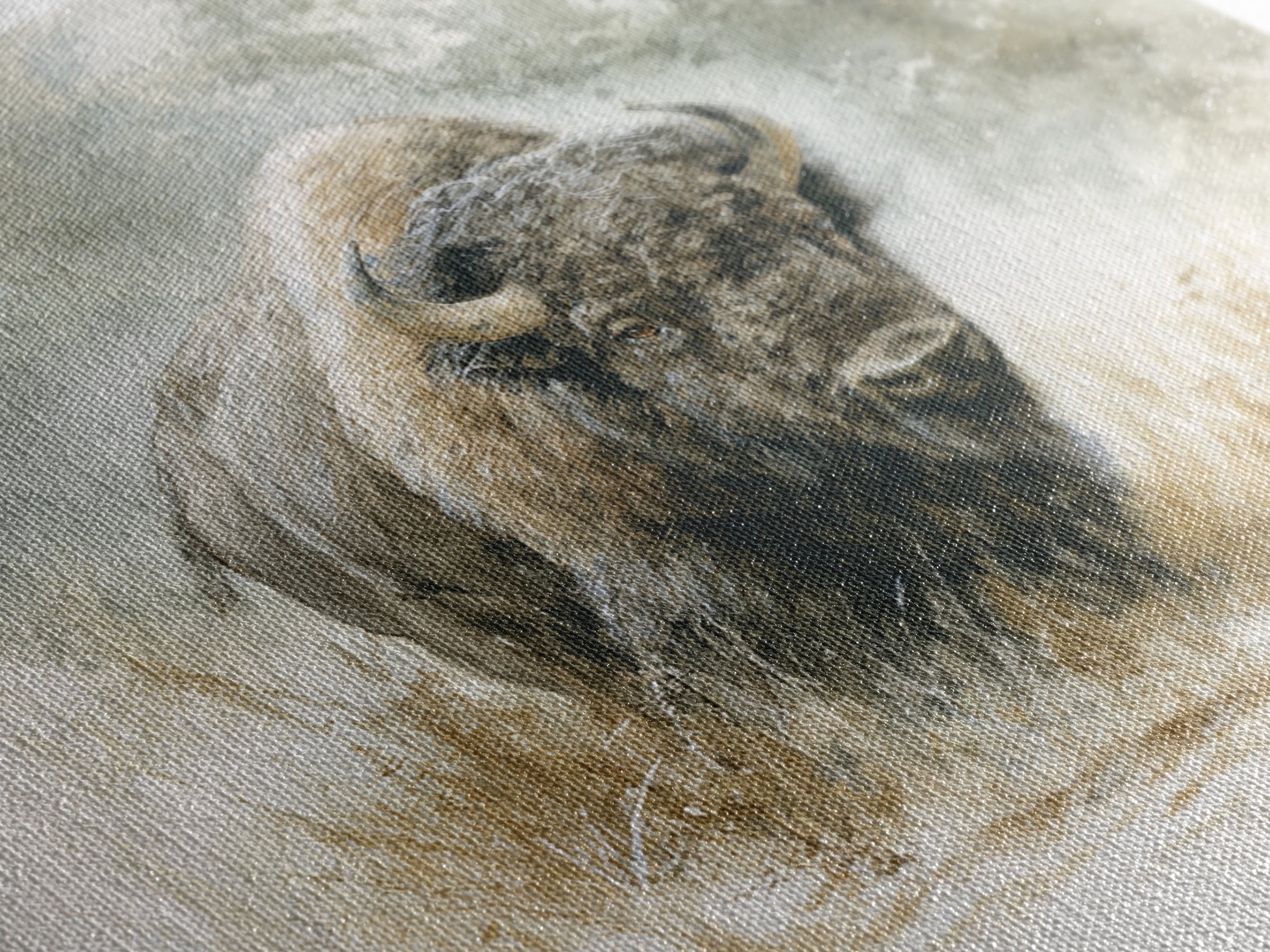 Bison on Wide Western Prairie Canvas Print, Wildlife Art, Boho Decor, Living Room Decor, Fine Art, Wild, Wall Hangings, WIL-1x1-85
