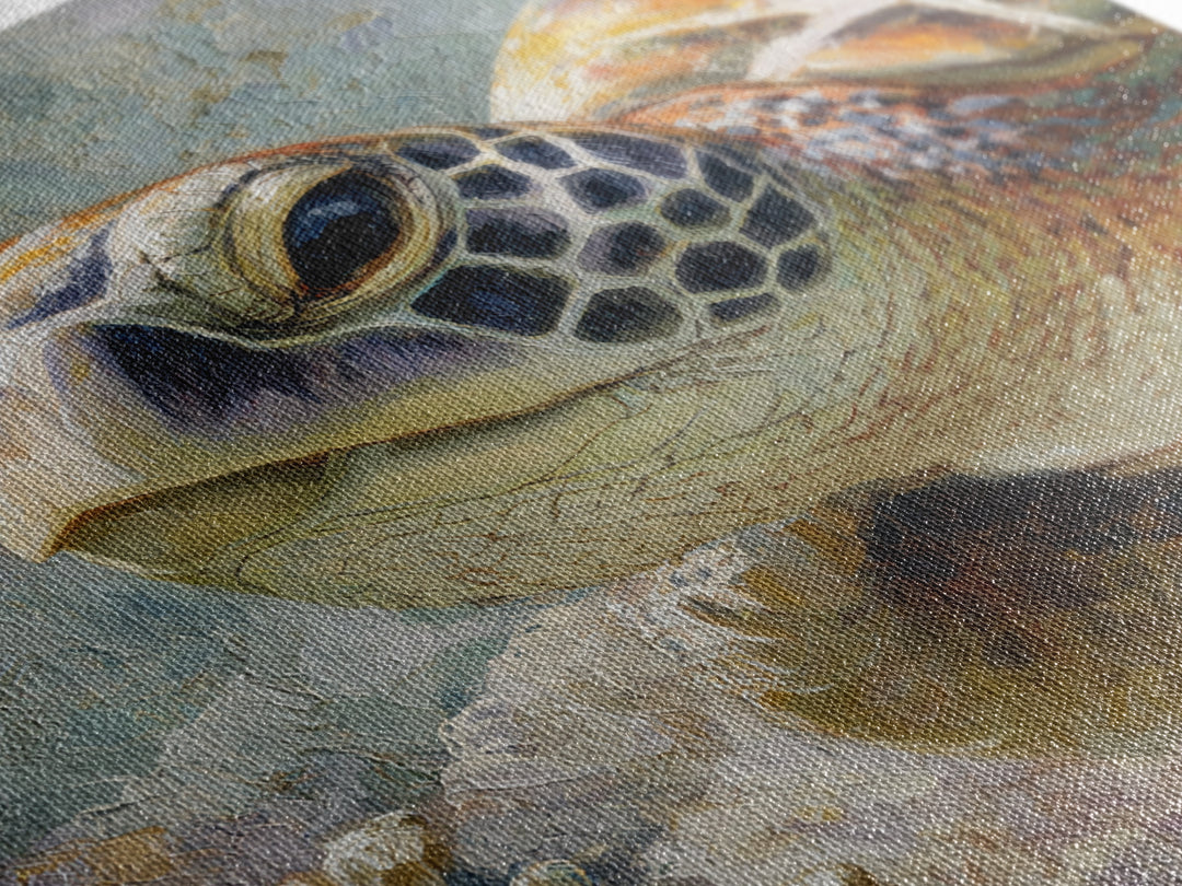 Sea Turtle over Coral Reef Canvas Print, Wildlife Art, Forest Wall Art, Living Room Decor, Fine Art, Wild, Textured Painting, WIL-1x1-90