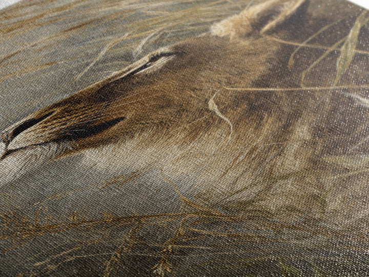 Lion Emerging from Golden Savanna Grass Canvas Print, Wildlife Art, Statement Artwork, Living Room Decor, Fine Art, Wild, WIL-1x3-13