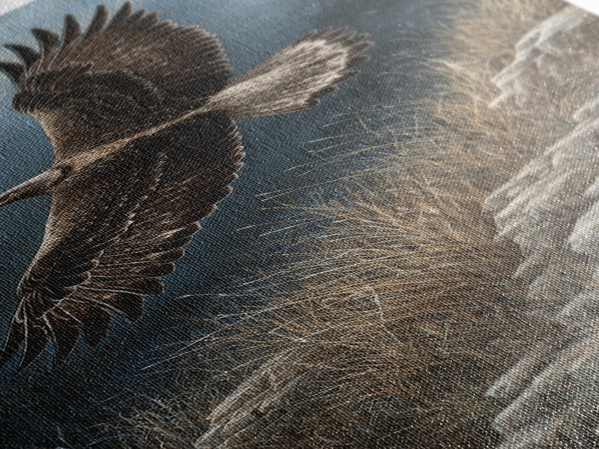 Eagle Soaring Above Rocky Cliffs Canvas Print, Wildlife Art, Rustic Home Decor, Living Room Decor, Fine Art, Wild, WIL-1x3-18