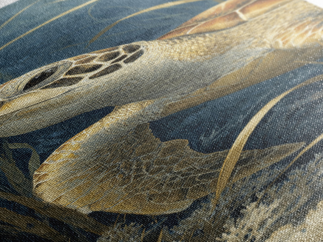 Sea Turtle over Coral Reef Framed Canvas Print, Wildlife Art, Canvas Painting, Living Room Decor, Oil Painting, Wild, WIL-1x3-30