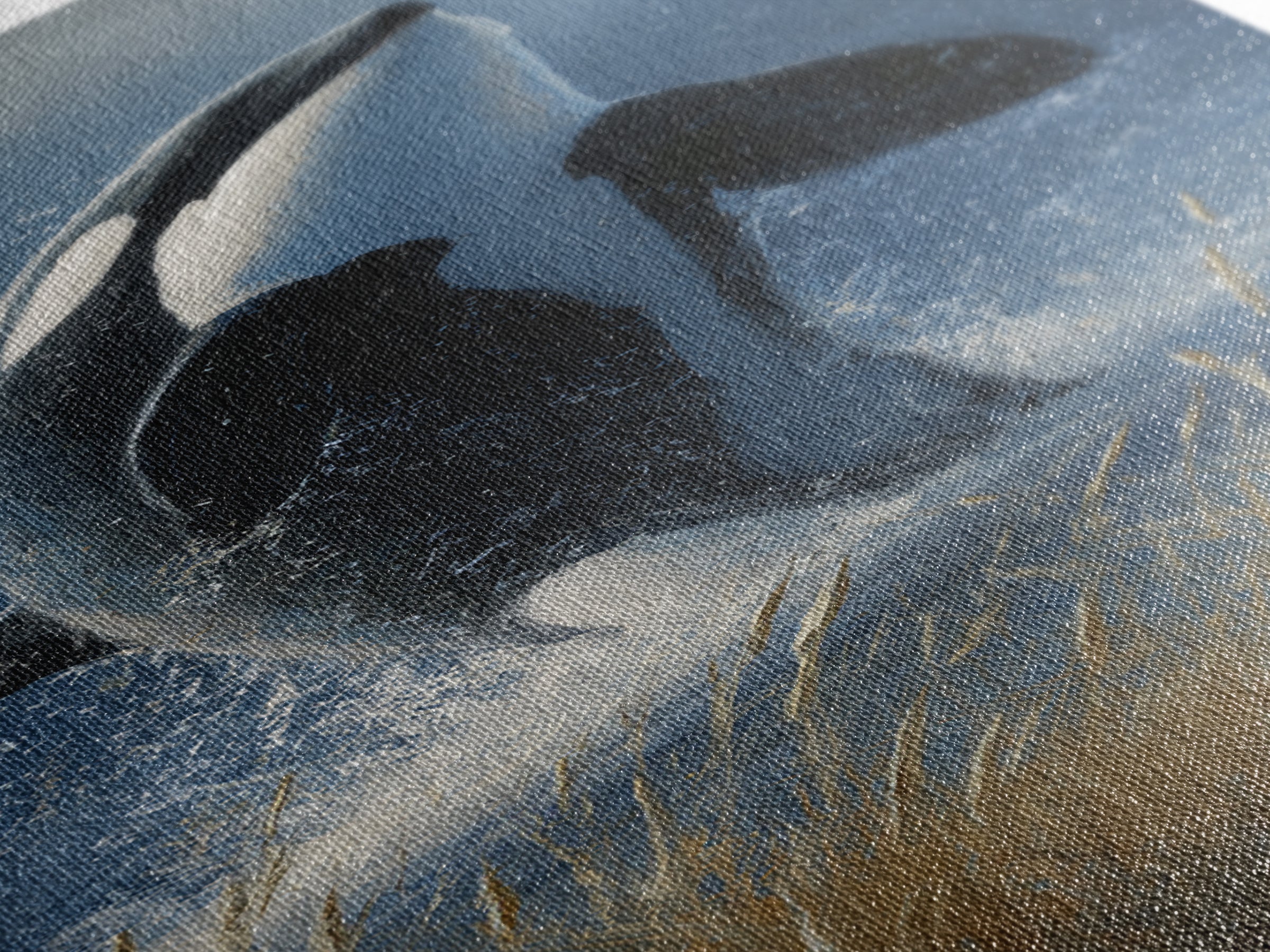 Orca Breaching in Cold Ocean Framed Canvas Print, Wildlife Art, Bird Art, Living Room Decor, Fine Art, Wild, Original Artwork, WIL-1x3-83
