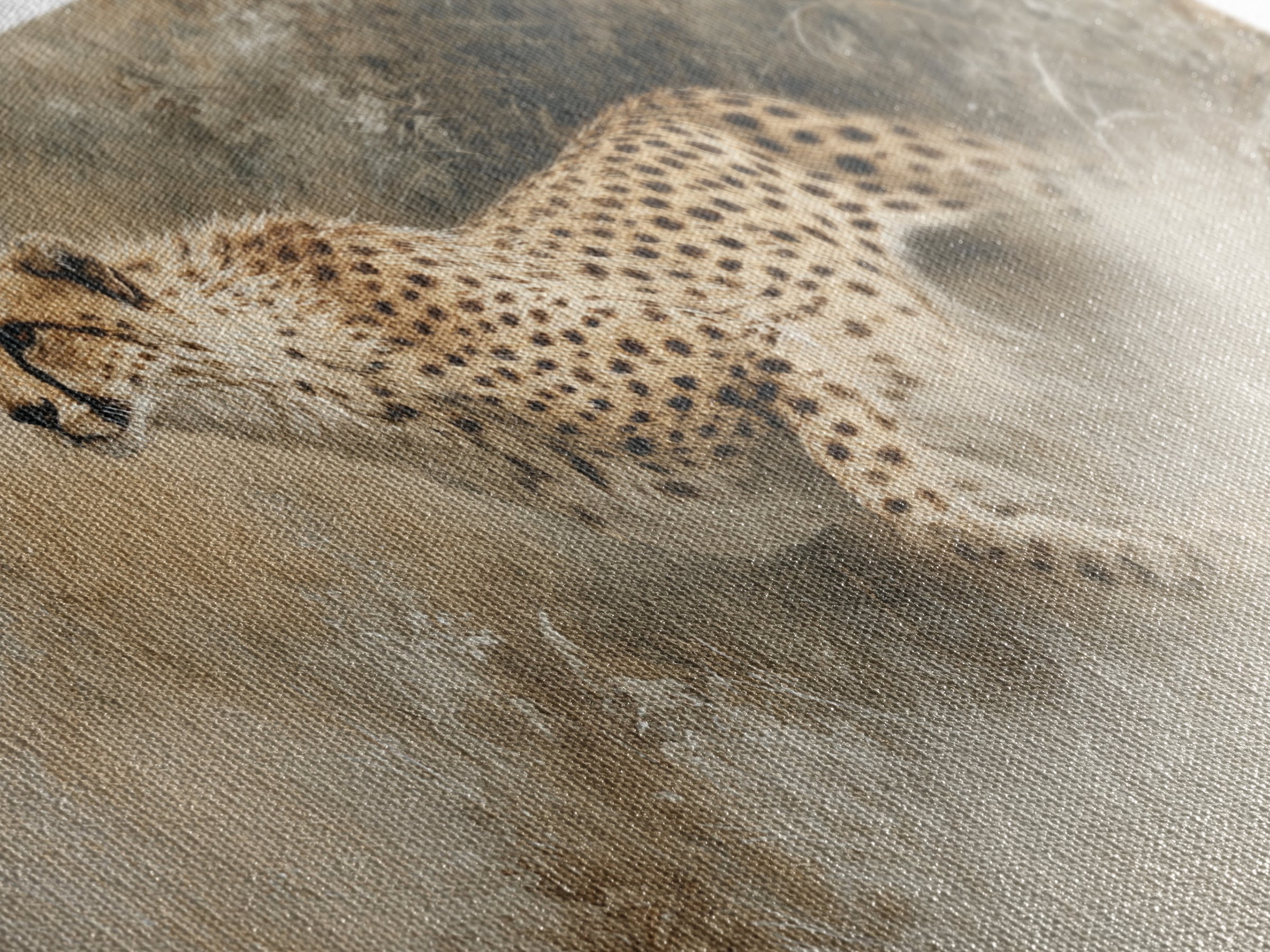 Cheetah Running Through Warm Dust Canvas Print, Wildlife Art, Contemporary Art, Living Room Decor, Wild, Wall Art Print, WIL-2x1-41