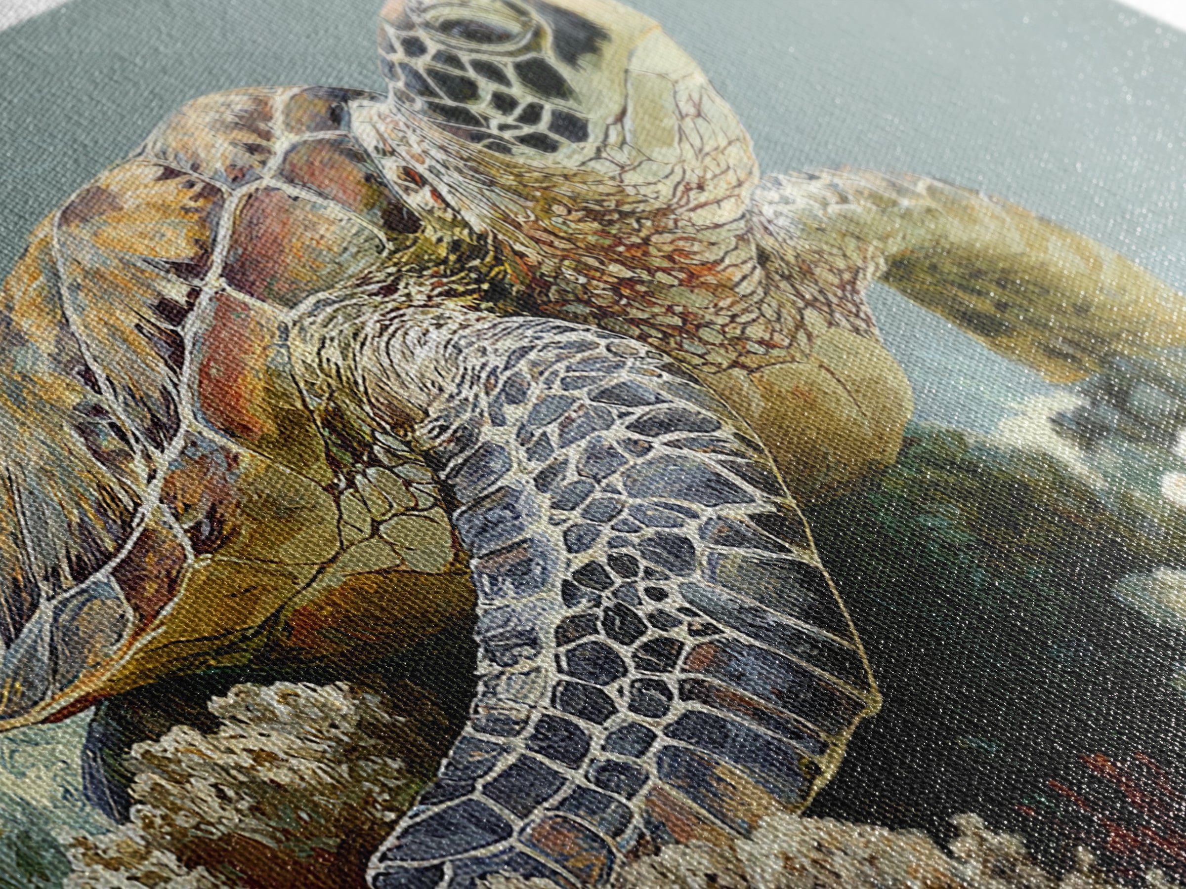 Sea Turtle over Coral Reef Canvas Print, Wildlife Art, Room Decor, Living Room Decor, Oil Painting, Wild, Large Wall Art, WIL-2x1-62