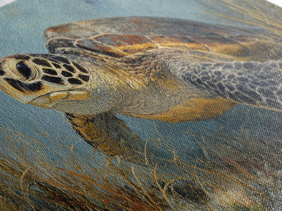 Sea Turtle over Coral Reef Framed Canvas Print, Wildlife Art, Home Decor, Living Room Decor, Fine Art, Wild, Boho Wall Decor, WIL-2x1-86