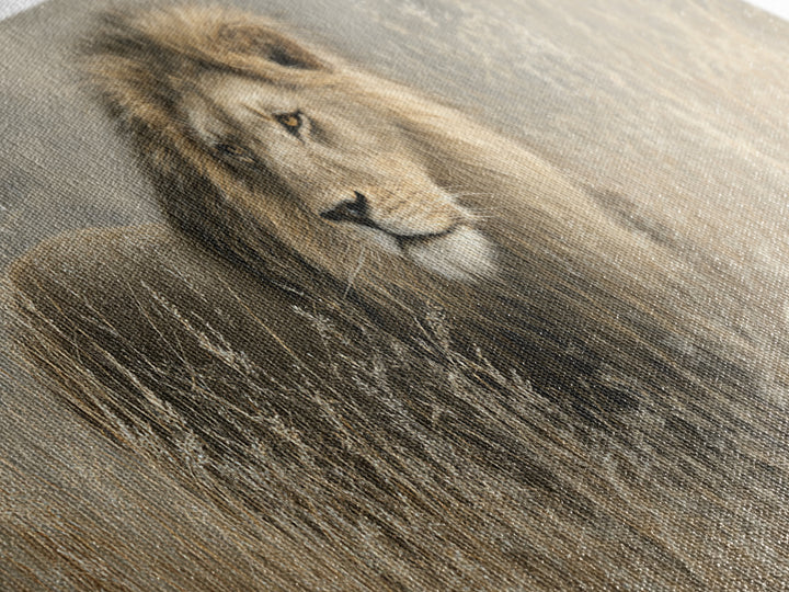 Lion Emerging from Golden Savanna Grass Canvas Print, Wildlife Art, Wall Art Print, Living Room Decor, Fine Art, Wild, WIL-2x1-93