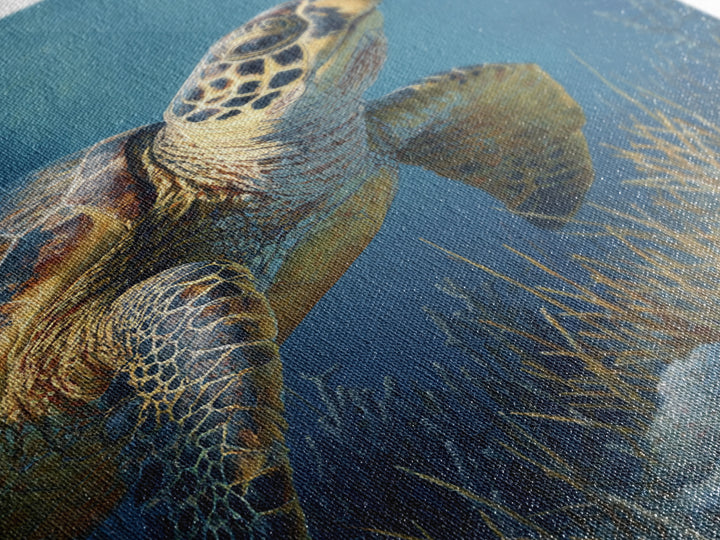 Sea Turtle over Coral Reef Framed Canvas Print, Wildlife Art, Boho Decor, Living Room Decor, Abstract Art, Wild, Painting, WIL-2x3-2