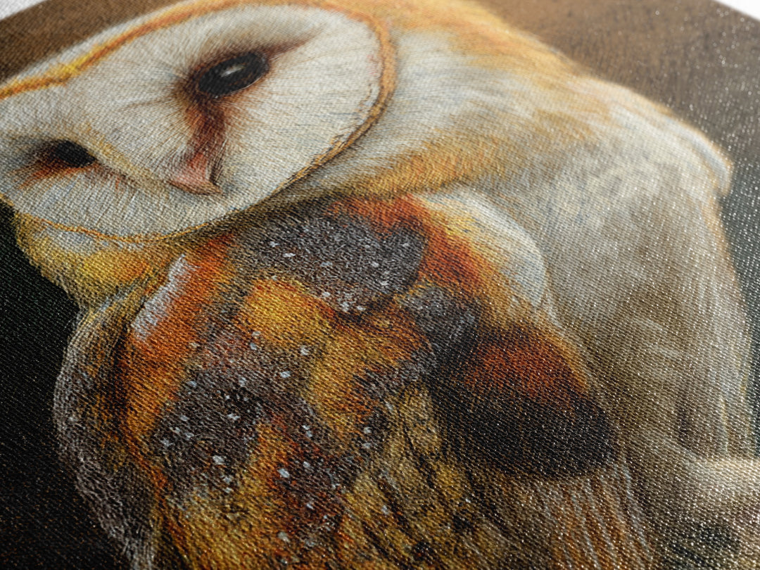 Owl Perched in Moonlit Woodland Framed Canvas Print, Wildlife Art, Oil Painting, Living Room Decor, Wild, Bedroom Wall Art, WIL-2x3-20