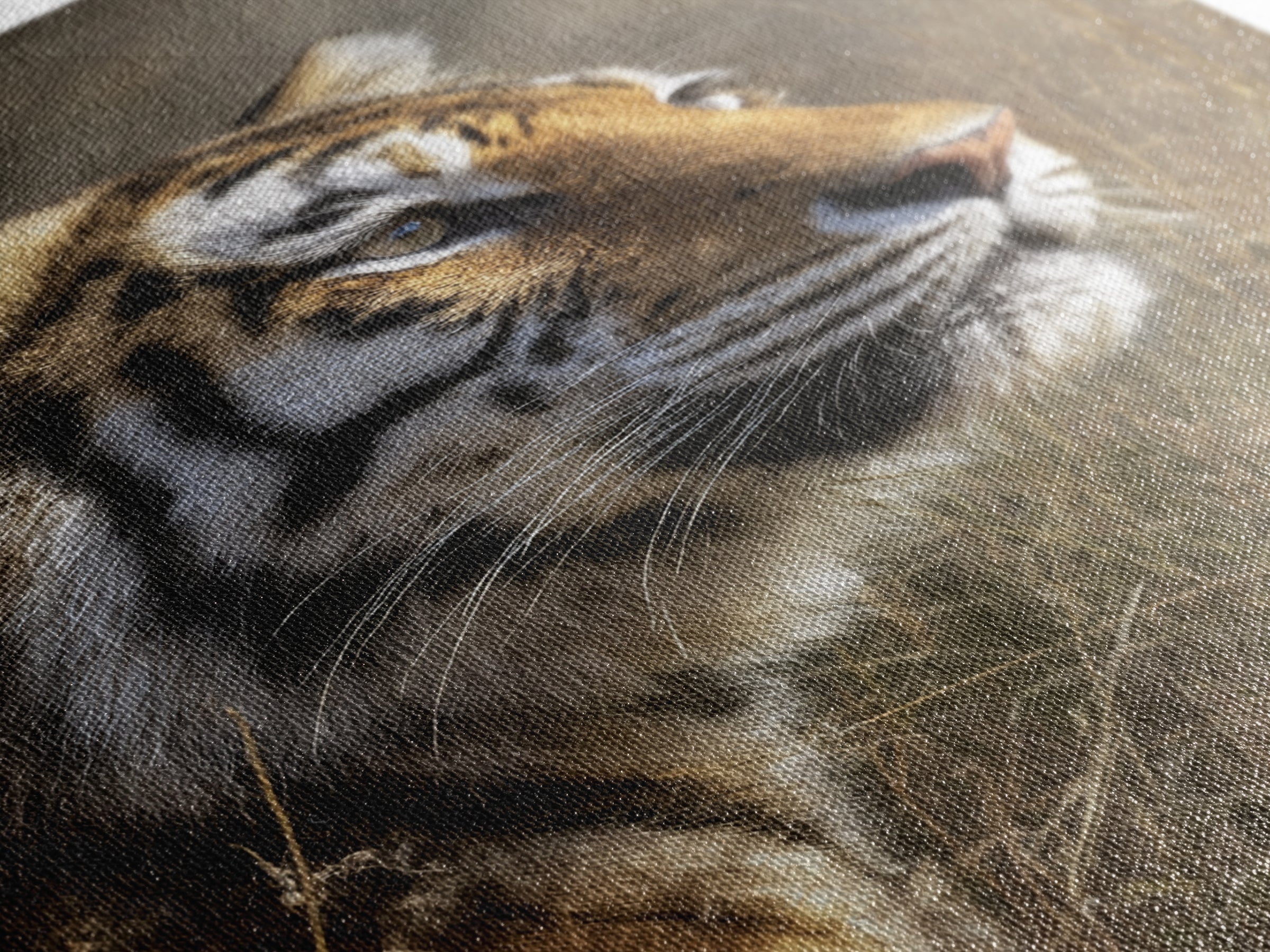 Tiger Portrait with Jungle Shadows Framed Canvas Print, Wildlife Art, Wall Decor, Living Room Decor, Fine Art, Wild, Bird Art, WIL-2x3-37