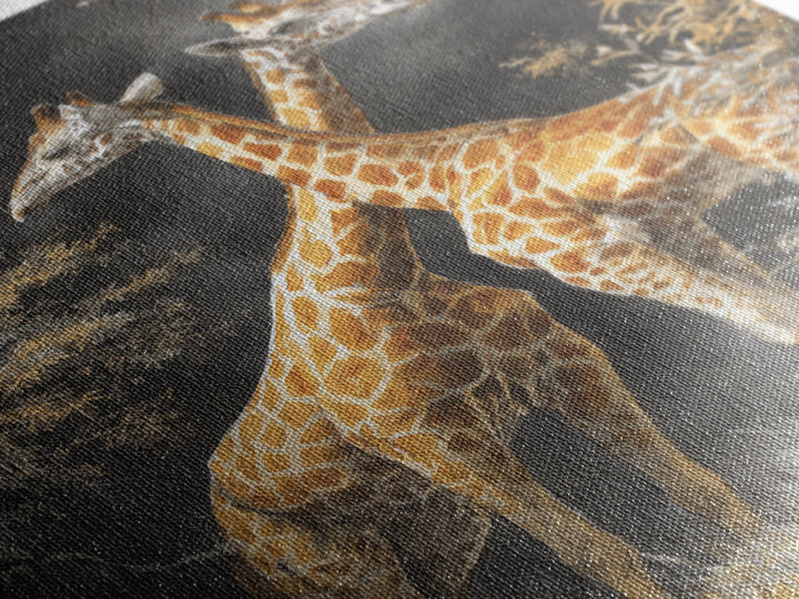 Giraffe Pair under Acacia Tree Canvas Print, Wildlife Art, Minimalist Decor, Living Room Decor, Fine Art, Wild, Wall Art Print, WIL-2x3-39