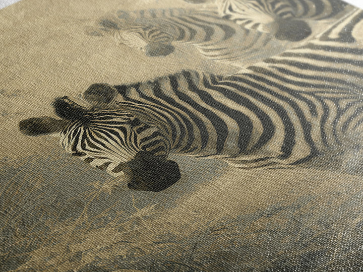 Zebra Herd in Graphic Black and White Framed Canvas Print, Wildlife Art, Contemporary Art, Living Room Decor, Fine Art, Wild, WIL-2x3-43