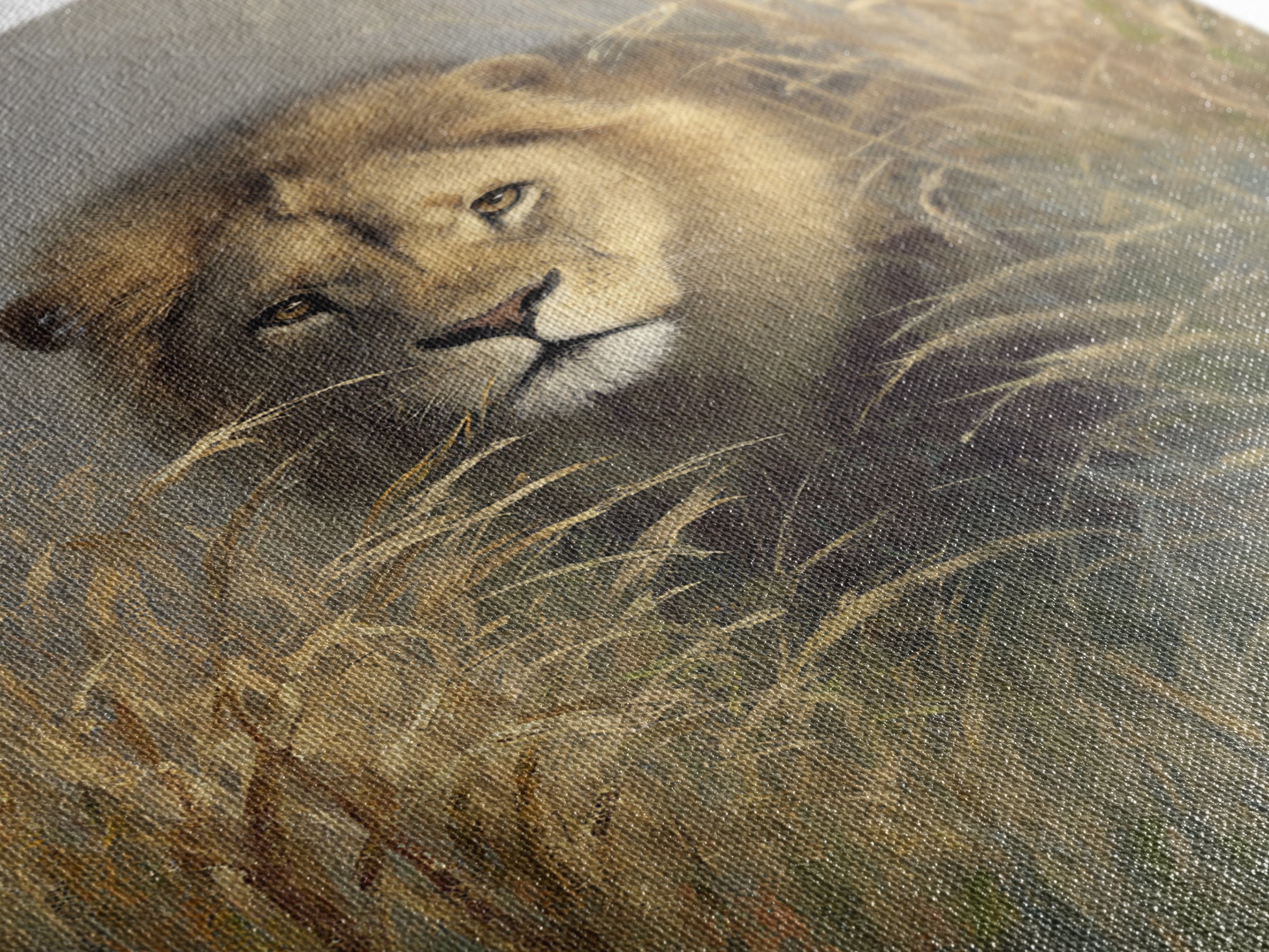 Lion Emerging from Golden Savanna Grass Canvas Print, Wildlife Art, Boho Wall Decor, Living Room Decor, Oil Painting, Wild, WIL-2x3-57