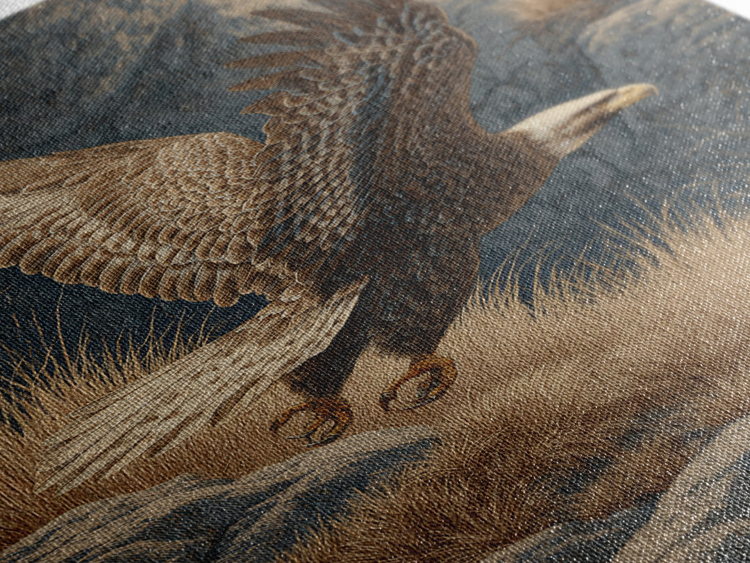 Eagle Soaring Above Rocky Cliffs Canvas Print, Wildlife Art, Oil Painting, Living Room Decor, Abstract Art, Wild, WIL-2x3-62