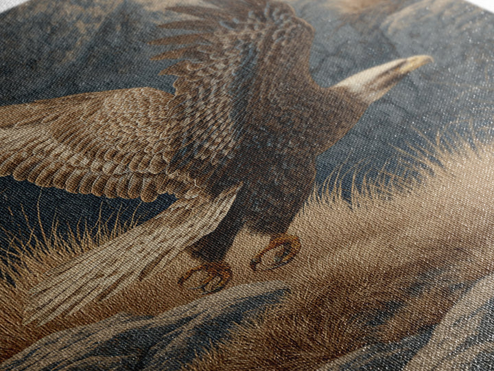 Eagle Soaring Above Rocky Cliffs Canvas Print, Wildlife Art, Oil Painting, Living Room Decor, Abstract Art, Wild, WIL-2x3-62
