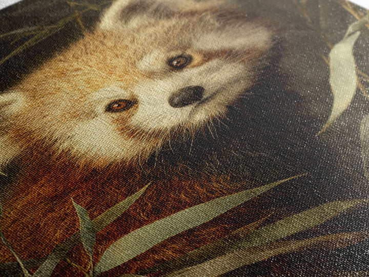 Red Panda Among Bamboo Leaves Framed Canvas Print, Wildlife Art, Canvas Print, Living Room Decor, Wild, Forest Wall Art, WIL-2x3-76