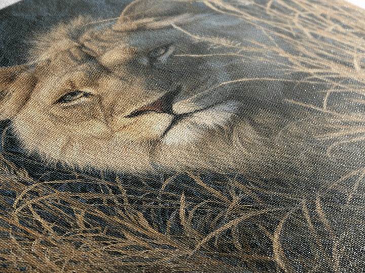 Lion Emerging from Golden Savanna Grass Canvas Print, Wildlife Art, Boho Wall Decor, Living Room Decor, Oil Painting, Wild, WIL-2x3-81