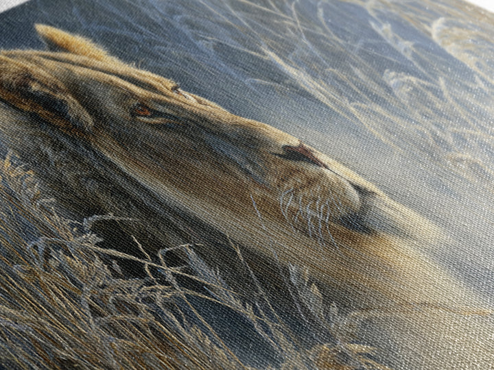 Lion Emerging from Golden Savanna Grass Canvas Print, Wildlife Art, Living Room Art, Living Room Decor, Watercolor Art, Wild, WIL-3x1-65