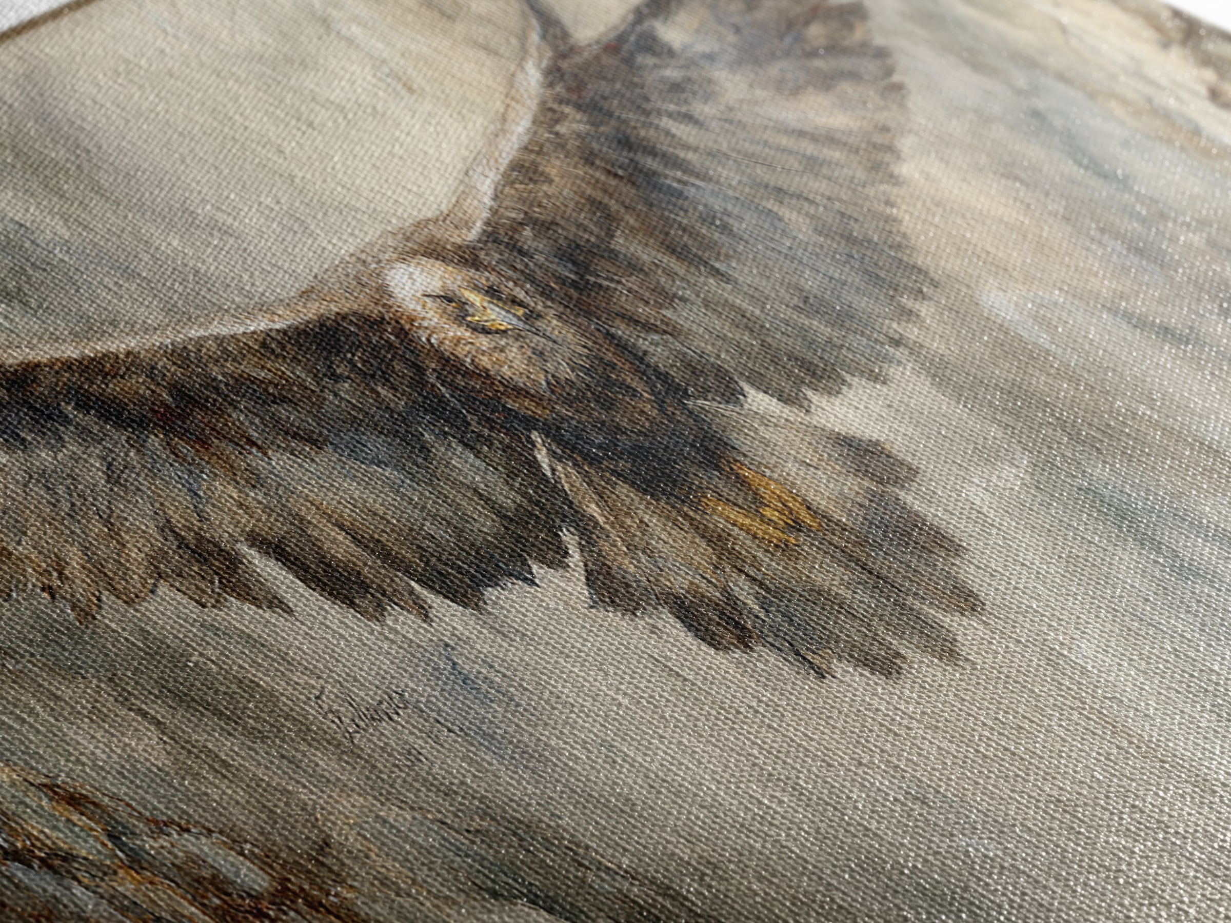 Eagle Soaring Above Rocky Cliffs Canvas Print, Wildlife Art, Art Print, Living Room Decor, Oil Painting, Wild, Digital Wall Art, WIL-3x1-70