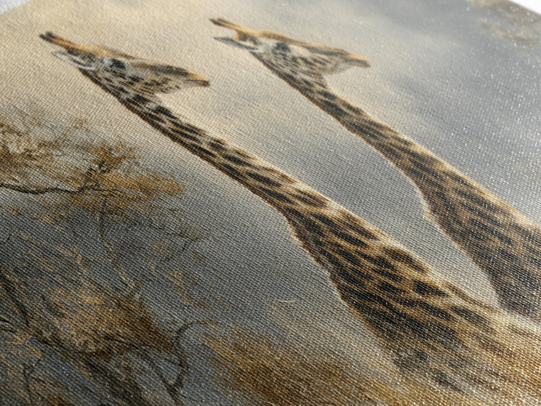 Giraffe Pair under Acacia Tree Canvas Print, Wildlife Art, Original Art, Living Room Decor, Fine Art, Wild, Leopard Wall Art, WIL-3x1-71