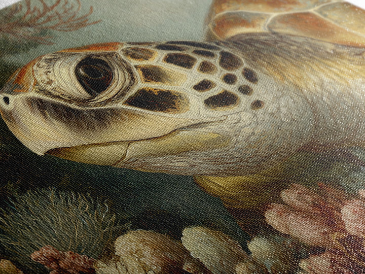 Sea Turtle over Coral Reef Canvas Print, Wildlife Art, Original Art, Living Room Decor, Oil Painting, Wild, Leopard Wall Art, WIL-3x2-22