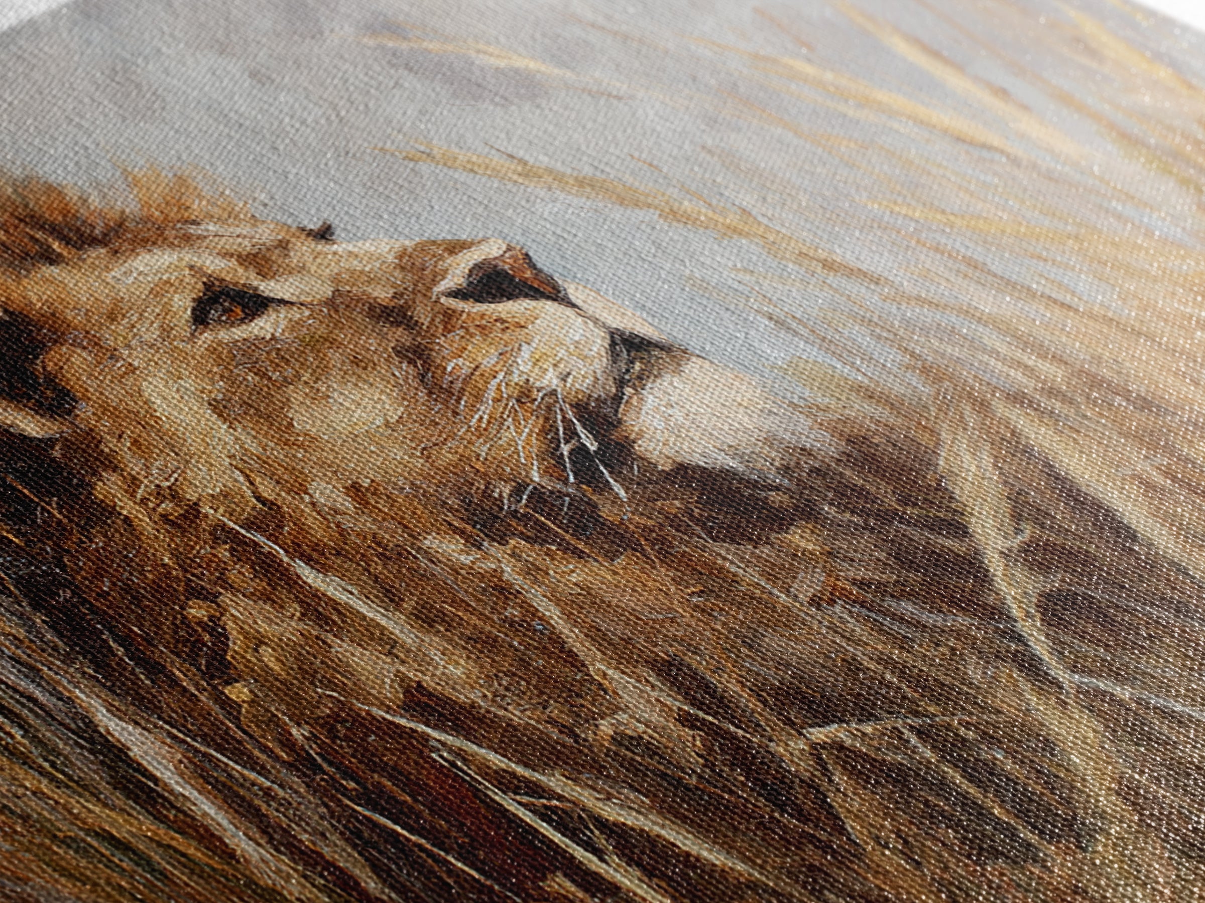 Lion Emerging from Golden Savanna Grass Canvas Print, Wildlife Art, Bird Wall Art, Living Room Decor, Fine Art, Wild, WIL-3x2-29
