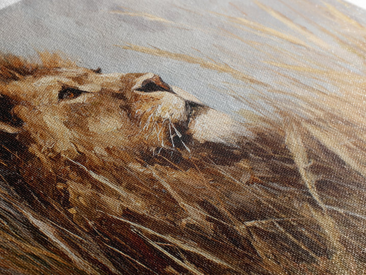 Lion Emerging from Golden Savanna Grass Canvas Print, Wildlife Art, Bird Wall Art, Living Room Decor, Fine Art, Wild, WIL-3x2-29