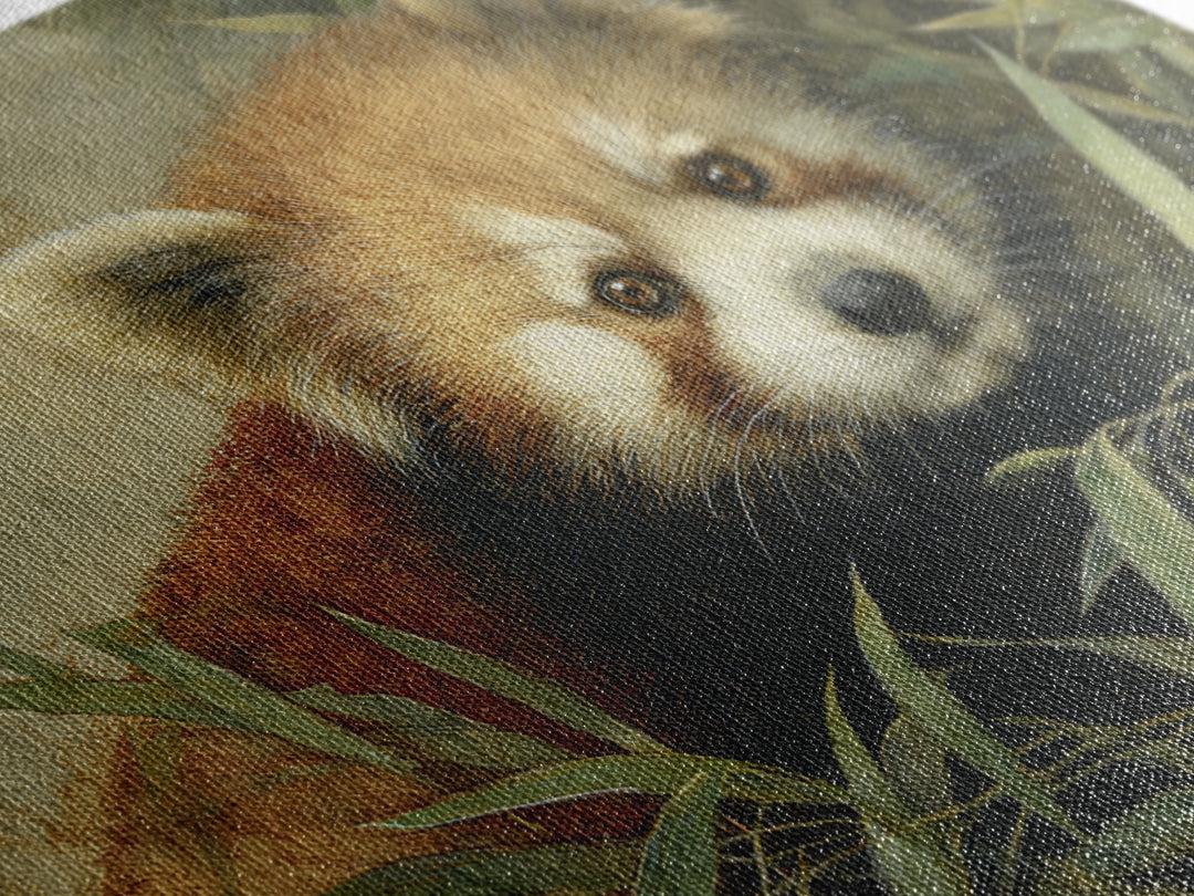 Red Panda Among Bamboo Leaves Canvas Print, Wildlife Art, Leopard Wall Art, Living Room Decor, Fine Art, Wild, Fine Art Print, WIL-3x2-48