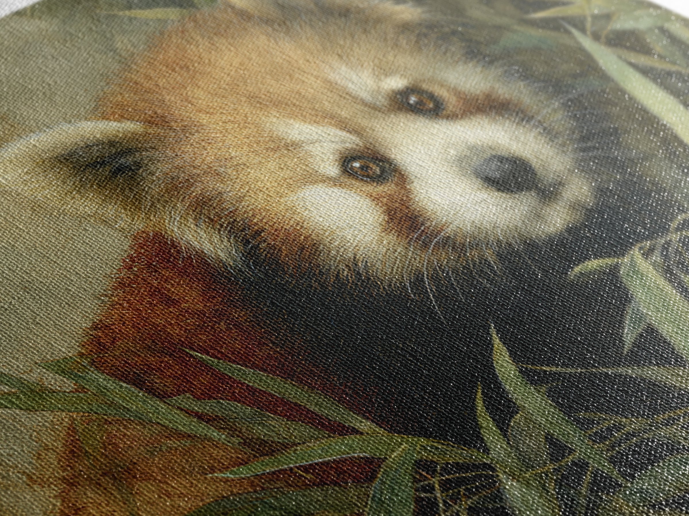 Red Panda Among Bamboo Leaves Canvas Print, Wildlife Art, Leopard Wall Art, Living Room Decor, Fine Art, Wild, Fine Art Print, WIL-3x2-48