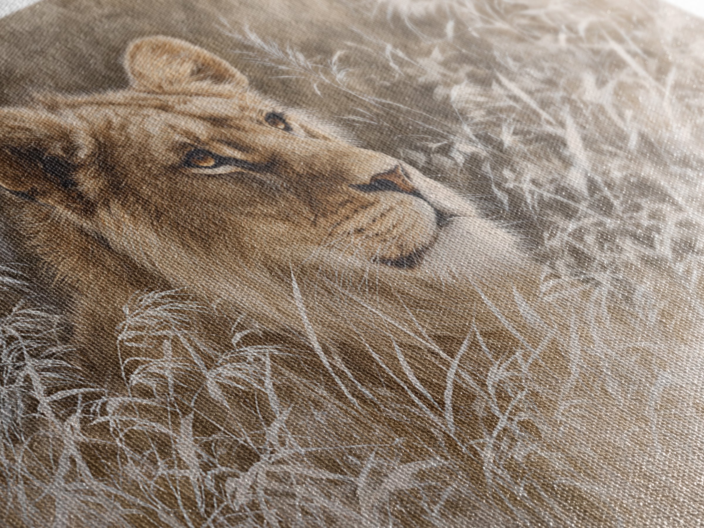 Lion Emerging from Golden Savanna Grass Framed Canvas Print, Wildlife Art, Modern Art, Living Room Decor, Fine Art, Wild, WIL-3x2-5