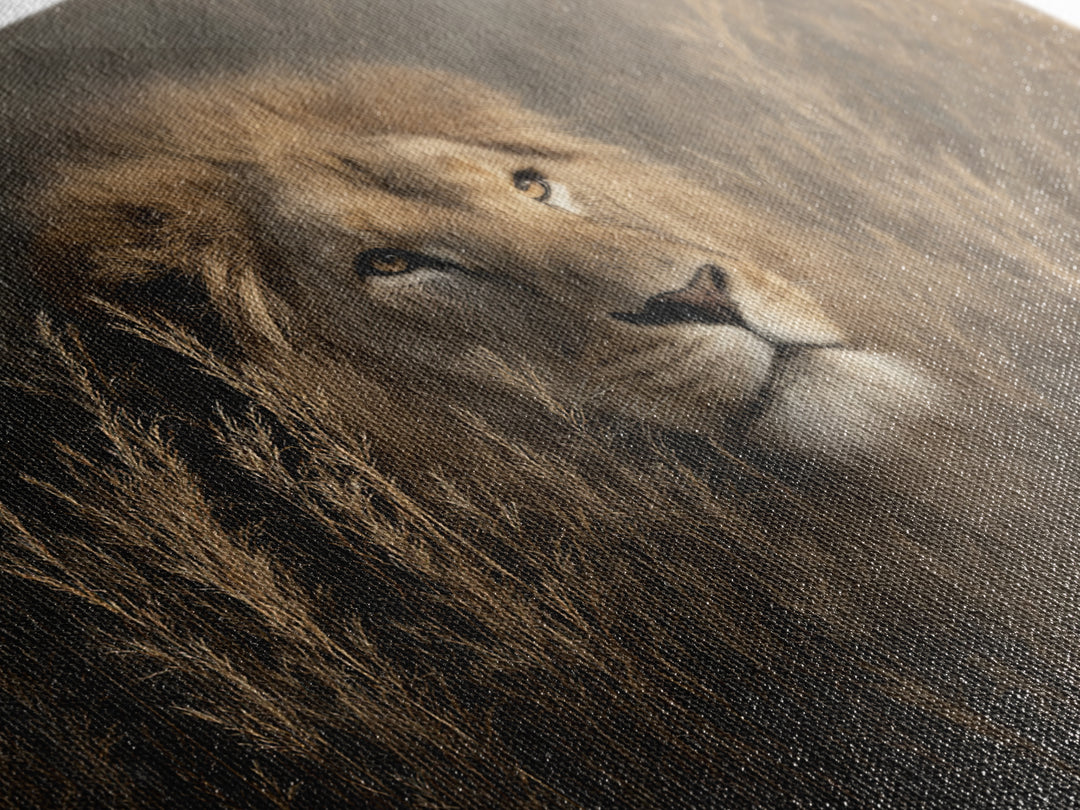 Lion Emerging from Golden Savanna Grass Canvas Print, Wildlife Art, Bird Wall Art, Living Room Decor, Fine Art, Wild, WIL-3x2-53