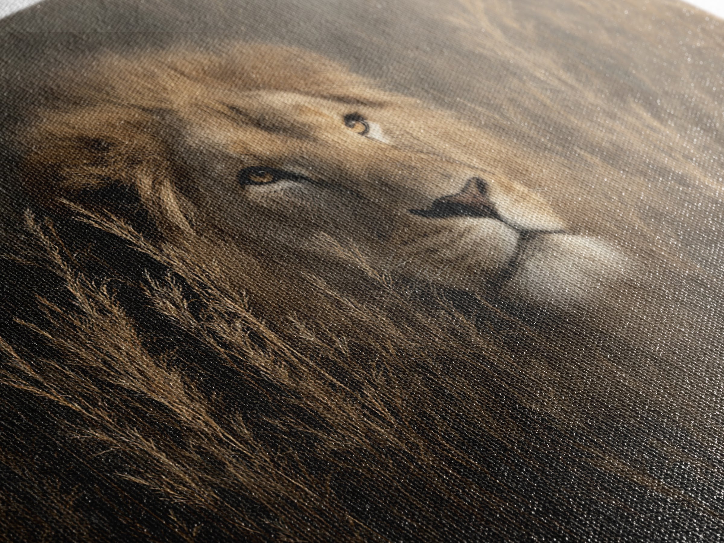 Lion Emerging from Golden Savanna Grass Canvas Print, Wildlife Art, Bird Wall Art, Living Room Decor, Fine Art, Wild, WIL-3x2-53