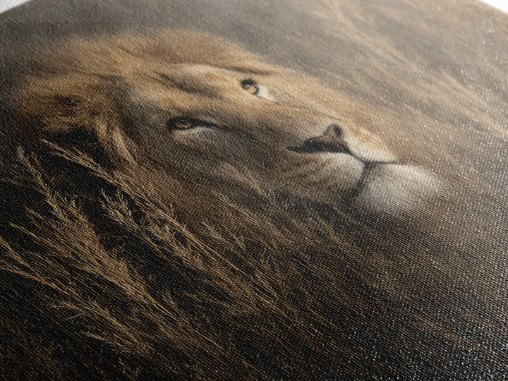 Lion Emerging from Golden Savanna Grass Canvas Print, Wildlife Art, Bird Wall Art, Living Room Decor, Fine Art, Wild, WIL-3x2-53