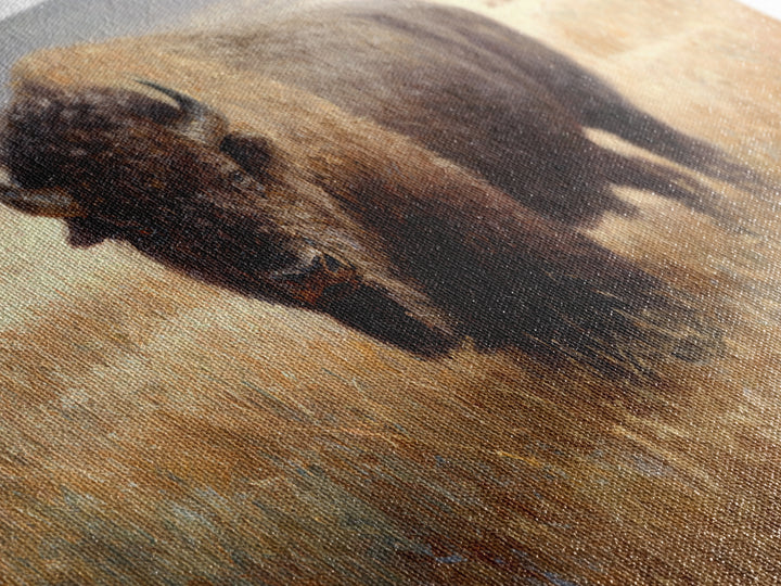 Bison on Wide Western Prairie Framed Canvas Print, Wildlife Art, Digital Download Art, Living Room Decor, Watercolor Art, Wild, WIL-3x2-65