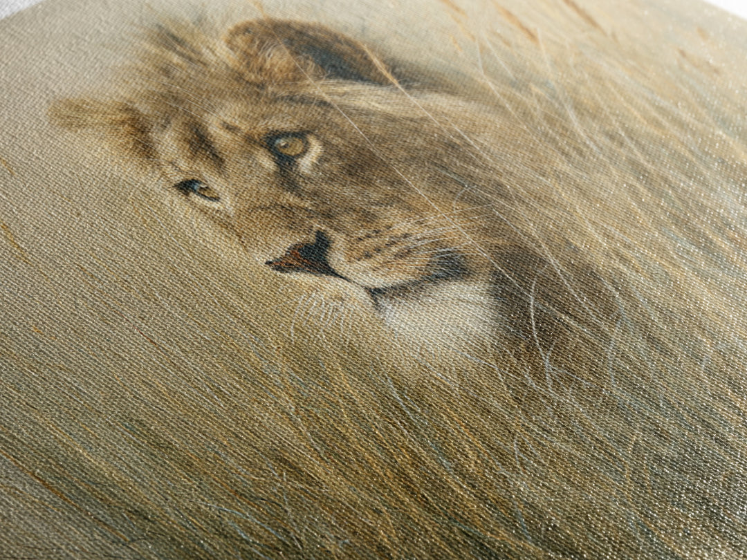 Lion Emerging from Golden Savanna Grass Framed Canvas Print, Wildlife Art, Gallery Decor, Living Room Decor, Fine Art, Wild, WIL-3x2-77