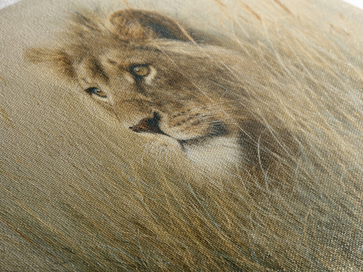 Lion Emerging from Golden Savanna Grass Framed Canvas Print, Wildlife Art, Gallery Decor, Living Room Decor, Fine Art, Wild, WIL-3x2-77
