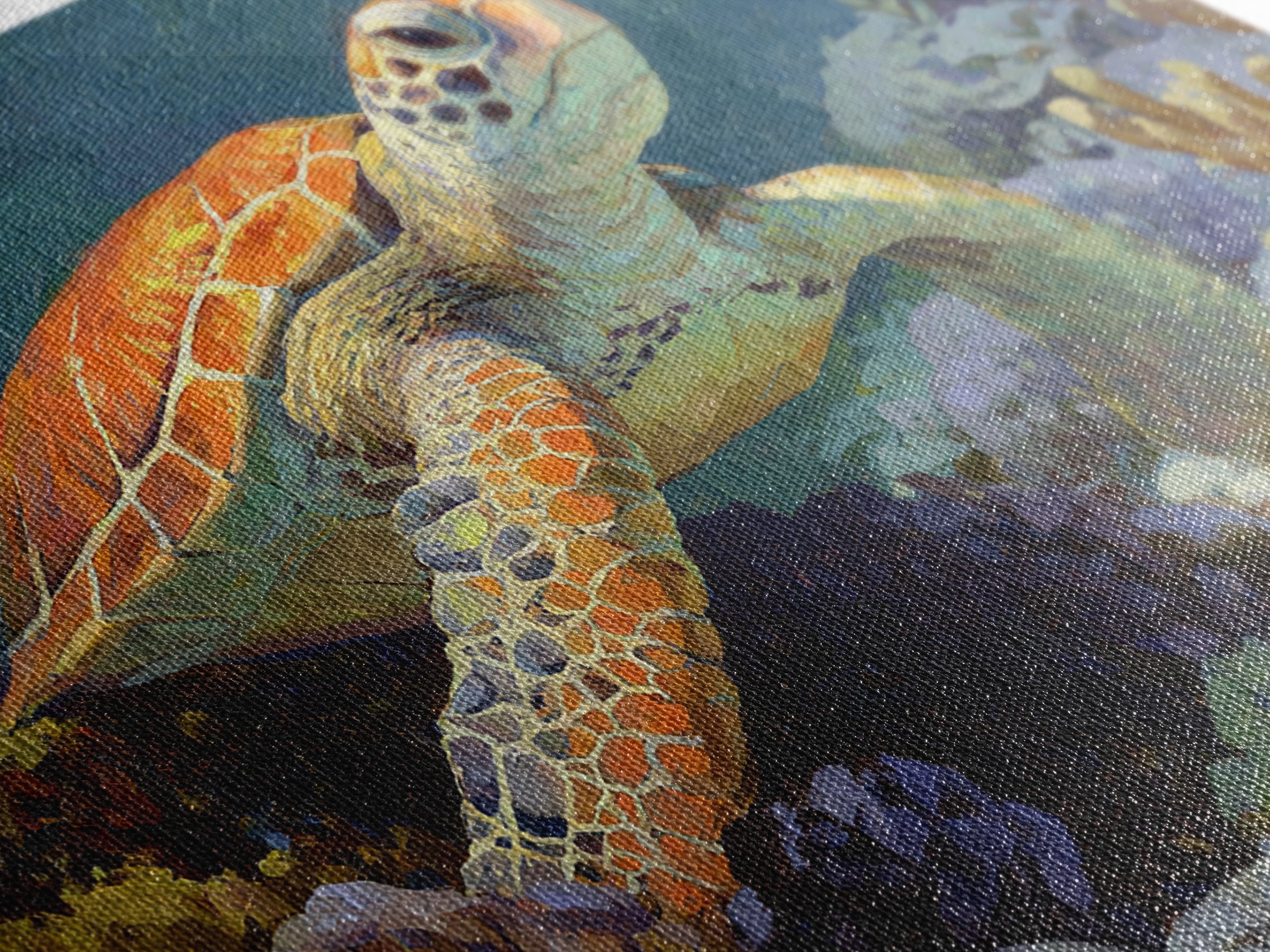 Sea Turtle over Coral Reef Canvas Print, Wildlife Art, Landscape Art, Living Room Decor, Abstract Art, Wild, Modern Decor, WIL-3x2-94