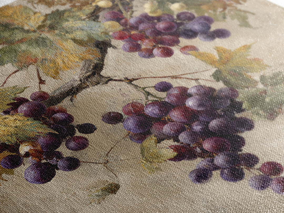Grapevine Branch with Purple Grapes and Leaves Framed Canvas Print, Winery Art, Home Decor, Winery Decor, Fine Art, Vineyard, WIN-1x1-73