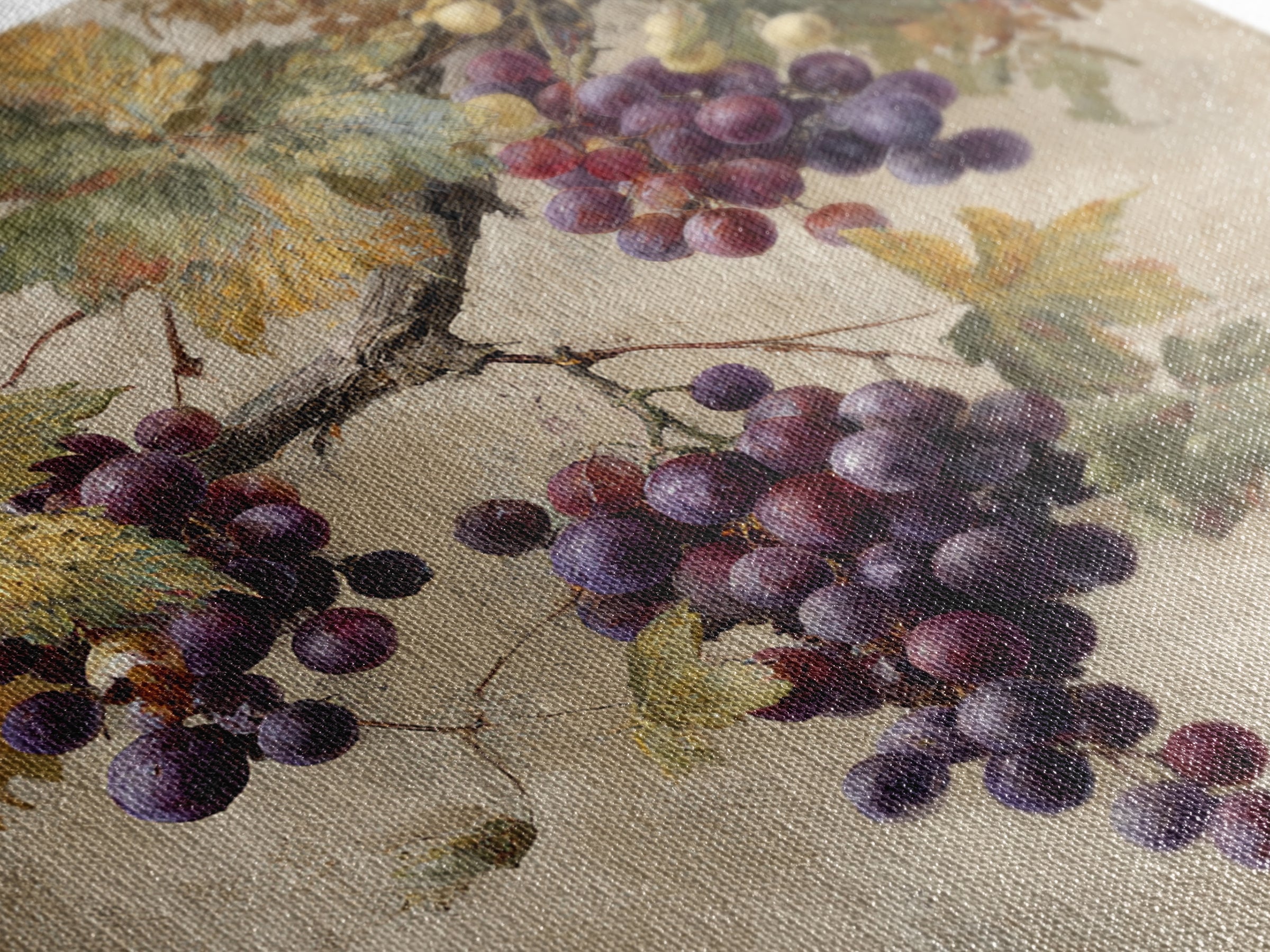 Grapevine Branch with Purple Grapes and Leaves Framed Canvas Print, Winery Art, Home Decor, Winery Decor, Fine Art, Vineyard, WIN-1x1-73