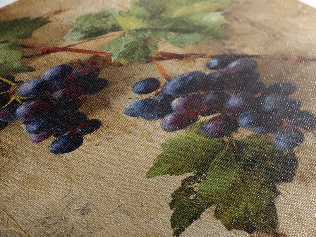 Grapevine Branch with Purple Grapes and Leaves Canvas Print, Winery Art, Kitchen Wall Decor, Winery Decor, Fine Art, Vineyard, WIN-2x3-57