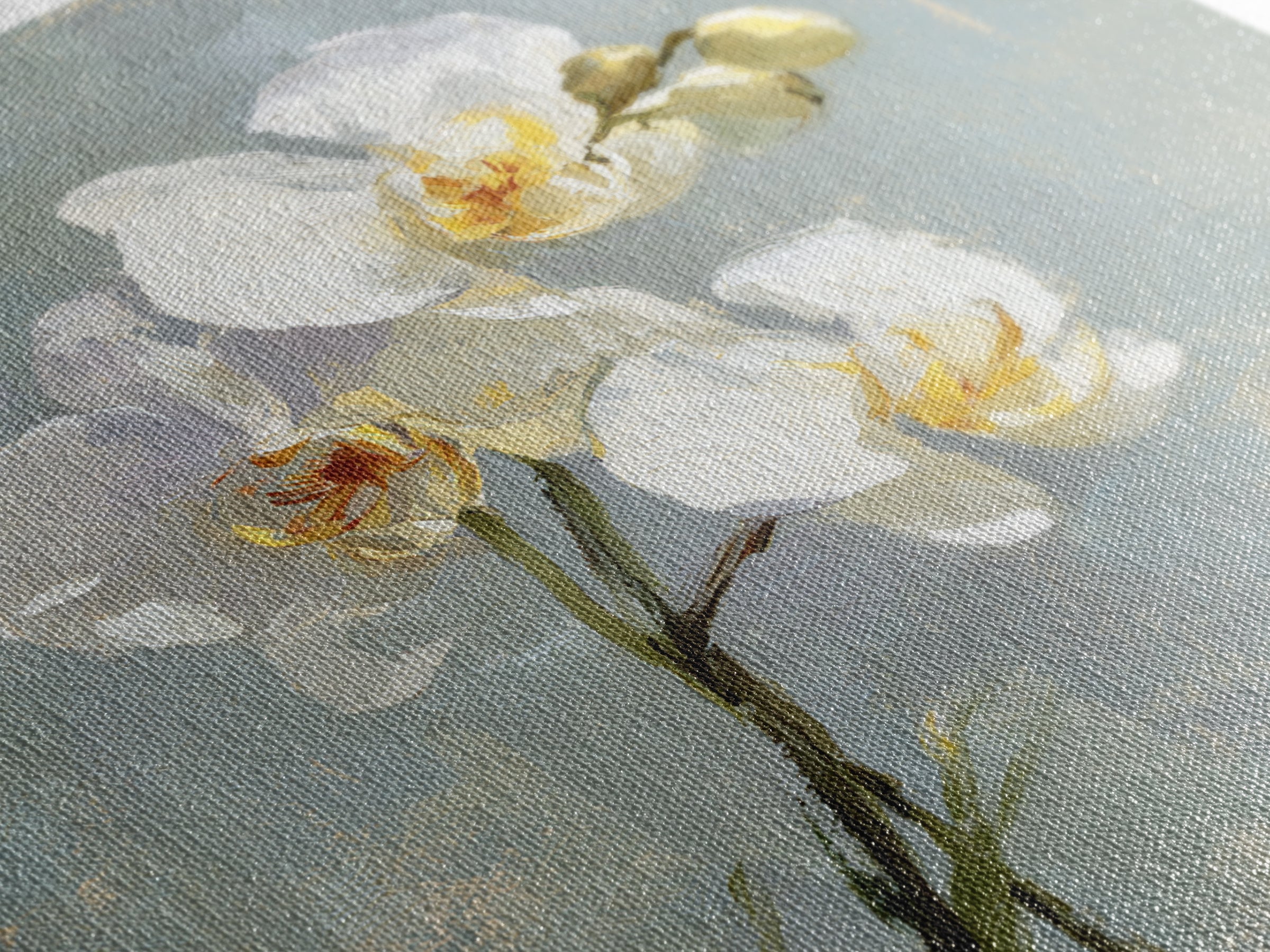White Orchid on Light Gray Ground Canvas Print, Waiting Room Art, Office Wall Decor, Waiting Room Decor, Fine Art, Calm, WRA-1x1-31